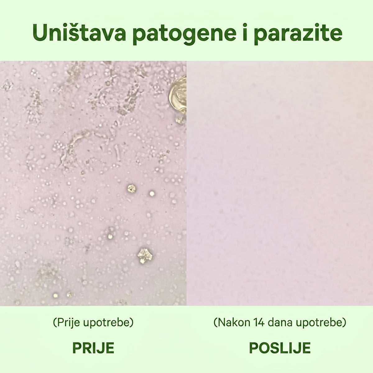 Zrevnika Oregano — Svakodnevna podrška crijevima i imunitetu