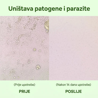 Zrevnika Oregano — Svakodnevna podrška crijevima i imunitetu